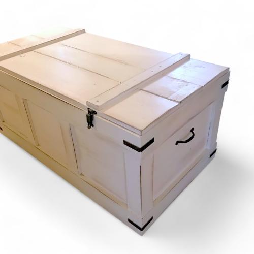 Storage Trunk 