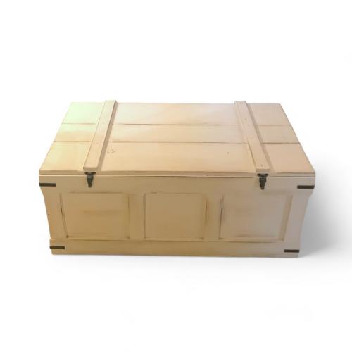 Storage Trunk 